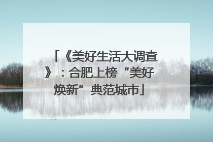 《美好生活大调查》：合肥上榜“美好焕新”典范城市