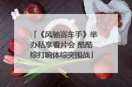 《风驰赛车手》举办私享看片会 酷酷综打响体综突围战