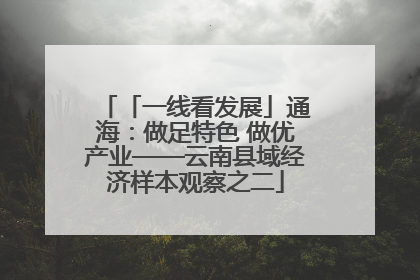 「一线看发展」通海：做足特色 做优产业——云南县域经济样本观察之二