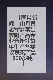 「图片新闻」山丹县老军乡蕃昌农副产品专业合作社每年生产各类玫瑰花产品500多吨