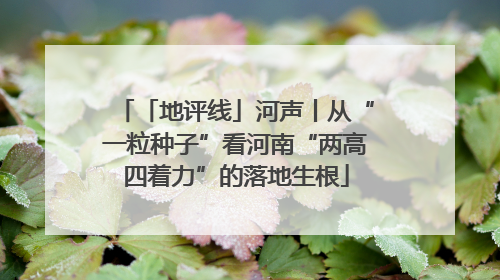 「地评线」河声丨从“一粒种子”看河南“两高四着力”的落地生根