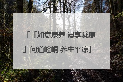 「如意康养 漫享陇原」问道崆峒 养生平凉