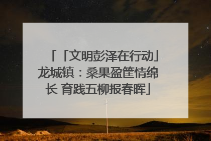 「文明彭泽在行动」龙城镇：桑果盈筐情绵长 育践五柳报春晖