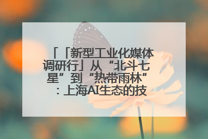「新型工业化媒体调研行」从“北斗七星”到“热带雨林”：上海AI生态的技术商业共生密码