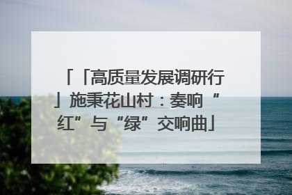 「高质量发展调研行」施秉花山村：奏响“红”与“绿”交响曲
