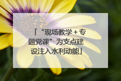 “现场教学＋专题党课”为支点建设注入水利动能