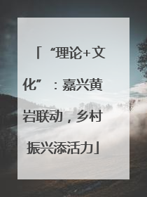 “理论+文化”：嘉兴黄岩联动，乡村振兴添活力