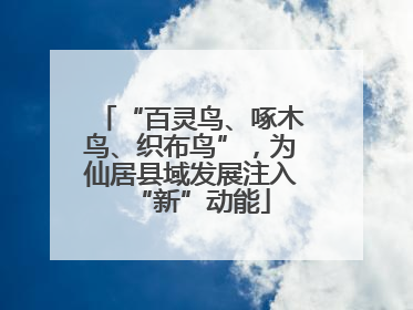 “百灵鸟、啄木鸟、织布鸟”，为仙居县域发展注入“新”动能