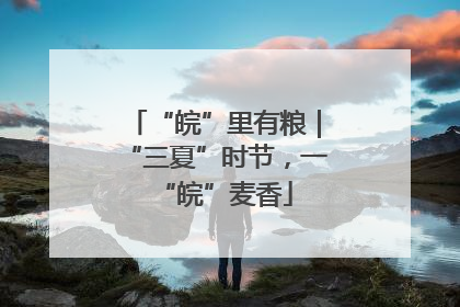 “皖”里有粮｜“三夏”时节，一“皖”麦香