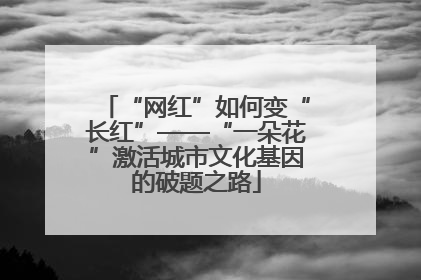 “网红”如何变“长红”——“一朵花”激活城市文化基因的破题之路