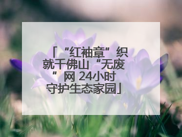 “红袖章”织就千佛山“无废”网 24小时守护生态家园