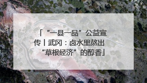 “一县一品”公益宣传丨武冈：卤水里熬出“草根经济”的醇香