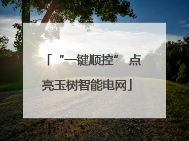 “一键顺控” 点亮玉树智能电网