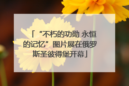 “不朽的功勋 永恒的记忆”图片展在俄罗斯圣彼得堡开幕