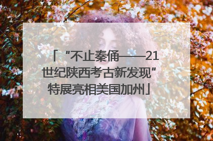 “不止秦俑——21世纪陕西考古新发现”特展亮相美国加州