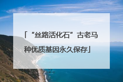 “丝路活化石”古老马种优质基因永久保存