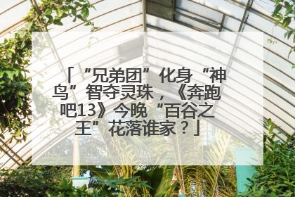 “兄弟团”化身“神鸟”智夺灵珠，《奔跑吧13》今晚“百谷之王”花落谁家？