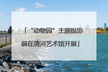 “动物园”主题摄影展在清河艺术馆开展