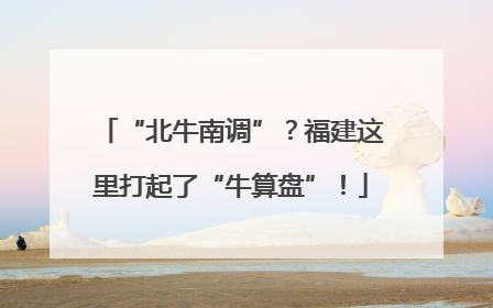 “北牛南调”？福建这里打起了“牛算盘”！