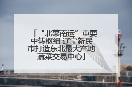 “北菜南运”重要中转枢纽 辽宁新民市打造东北最大产地蔬菜交易中心