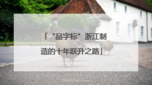 “品字标”浙江制造的十年跃升之路