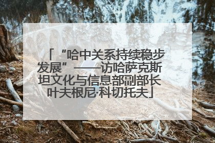 “哈中关系持续稳步发展”——访哈萨克斯坦文化与信息部副部长叶夫根尼·科切托夫