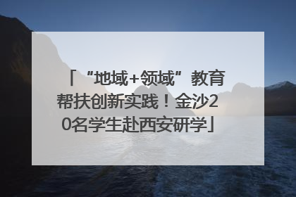 “地域+领域”教育帮扶创新实践！金沙20名学生赴西安研学