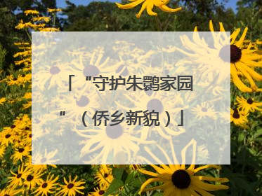 “守护朱鹮家园”（侨乡新貌）