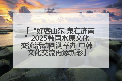 “好客山东 泉在济南”2025韩国水原文化交流活动圆满举办 中韩文化交流再添新彩