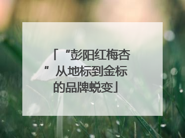 “彭阳红梅杏”从地标到金标的品牌蜕变