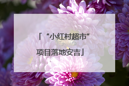 “小红村超市”项目落地安吉
