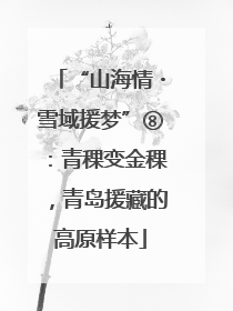 “山海情・雪域援梦”⑧：青稞变金稞，青岛援藏的高原样本