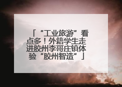 “工业旅游”看点多！外籍学生走进胶州李哥庄镇体验“胶州智造”