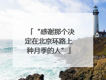 “感谢那个决定在北京环路上种月季的人”