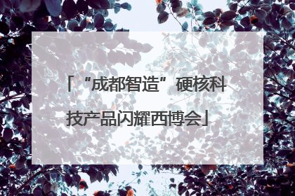 “成都智造”硬核科技产品闪耀西博会