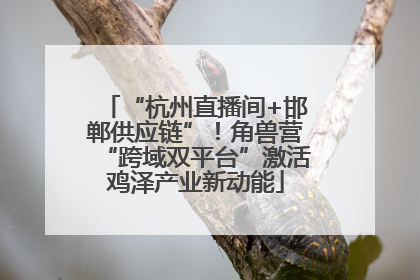 “杭州直播间+邯郸供应链”！角兽营“跨域双平台”激活鸡泽产业新动能