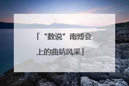 “数说”南博会上的曲靖风采
