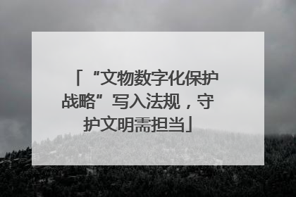 “文物数字化保护战略”写入法规，守护文明需担当