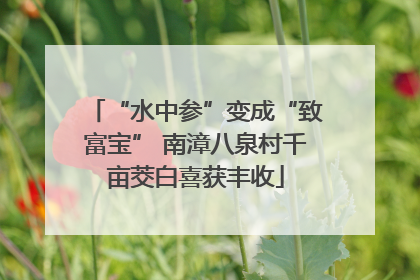 “水中参”变成“致富宝” 南漳八泉村千亩茭白喜获丰收