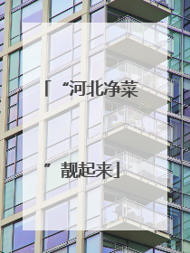 “河北净菜”靓起来