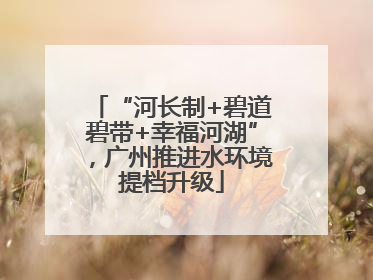 “河长制+碧道碧带+幸福河湖”，广州推进水环境提档升级