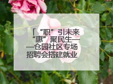 “职”引未来“惠”聚民生——仓园社区专场招聘会搭建就业“暖心桥”