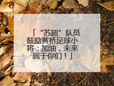 “苏超”队员鼓励黄桥足球小将：加油，未来属于你们！