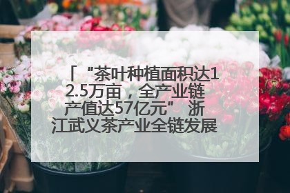 “茶叶种植面积达12.5万亩，全产业链产值达57亿元” 浙江武义茶产业全链发展“加速度”
