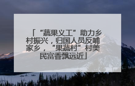 “蔬果义工”助力乡村振兴，归国人员反哺家乡，“果蔬村”村美民富香飘远近