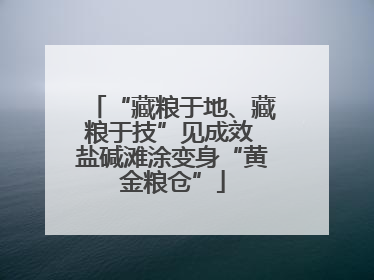 “藏粮于地、藏粮于技”见成效 盐碱滩涂变身“黄金粮仓”