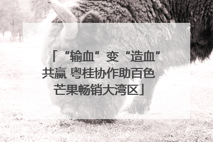 “输血”变“造血”共赢 粤桂协作助百色芒果畅销大湾区