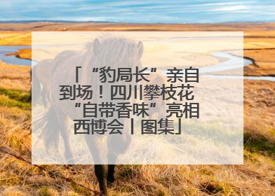 “豹局长”亲自到场！四川攀枝花“自带香味”亮相西博会丨图集