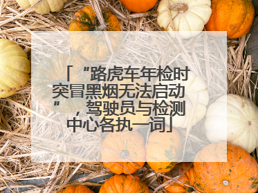 “路虎车年检时突冒黑烟无法启动”，驾驶员与检测中心各执一词
