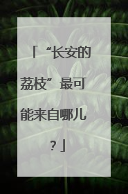 “长安的荔枝”最可能来自哪儿？